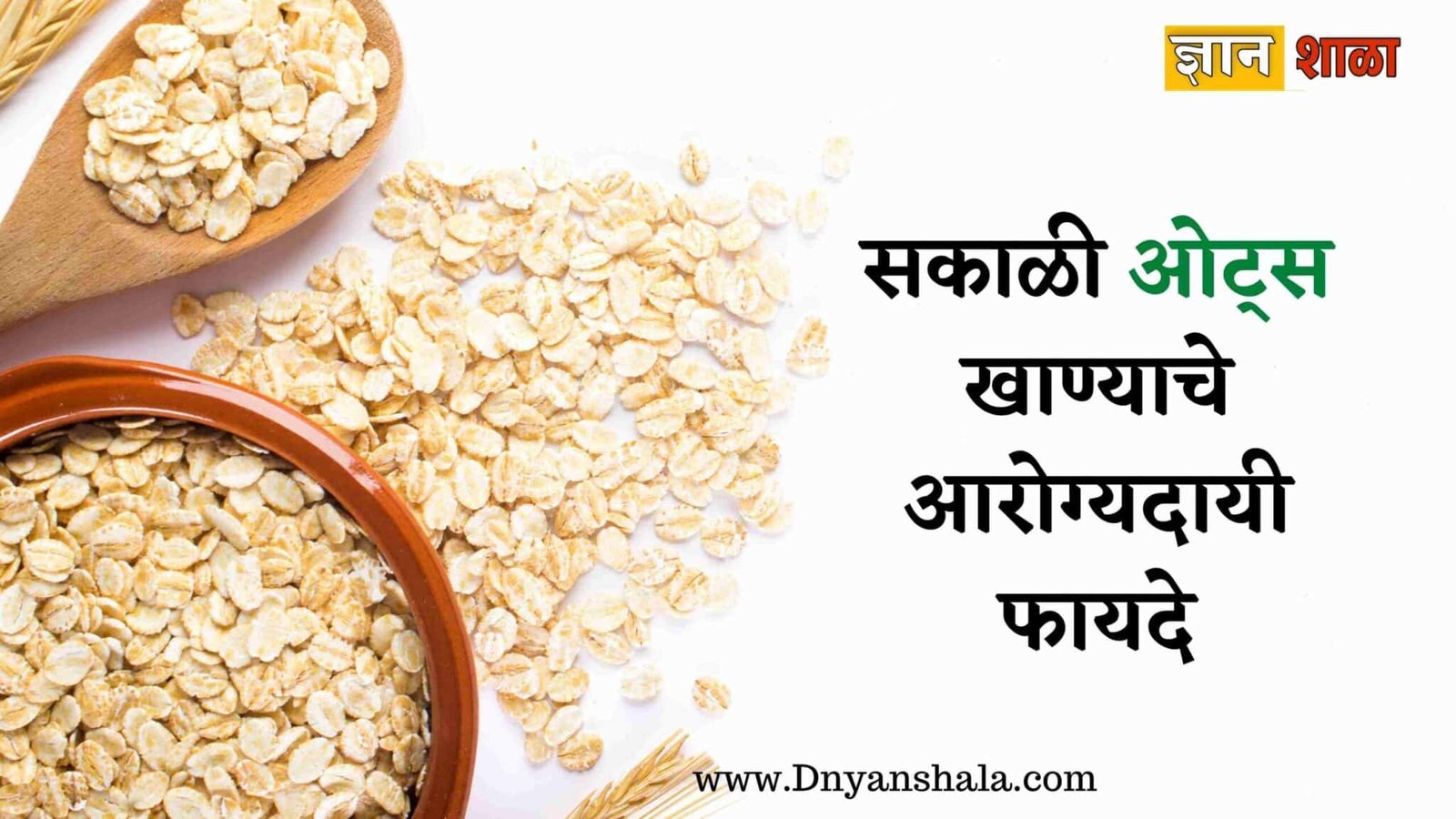 Health benefits of eating oats in the morning