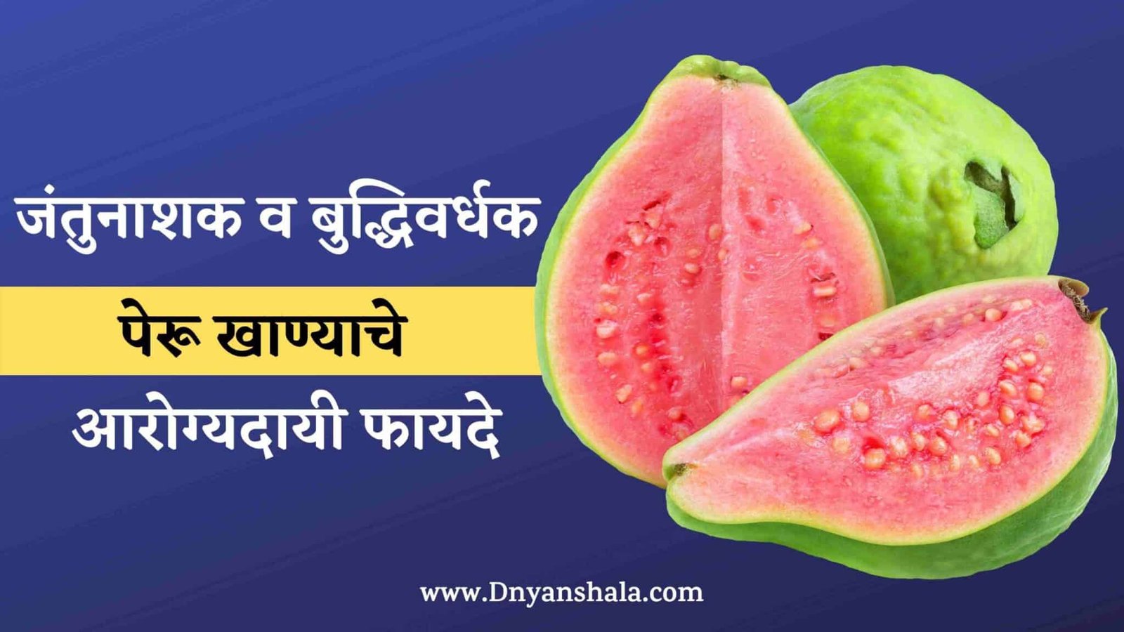 Guava Benefits in Marathi