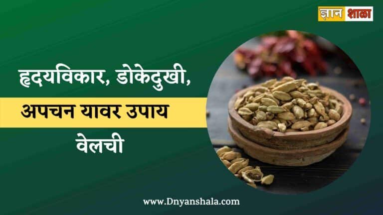 Health Benefits of Cardamom in Marathi