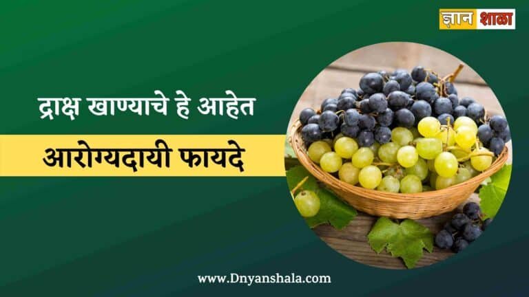 Health Benefits Grapes in Marathi