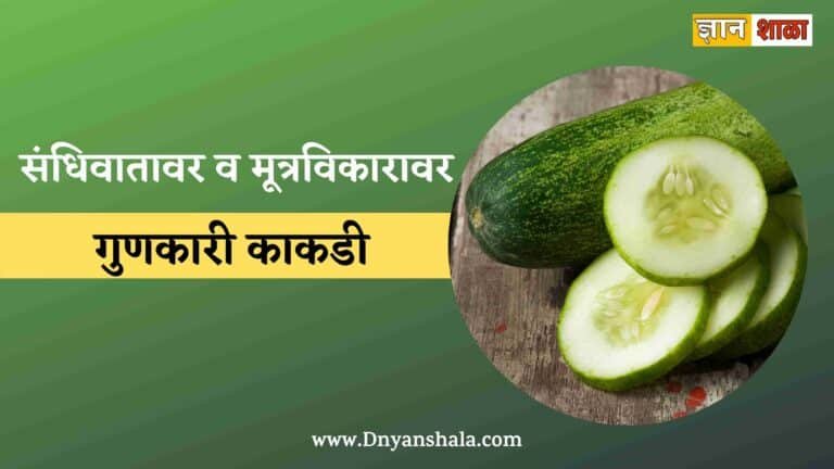 Health Benefits of Cucumber in Marathi