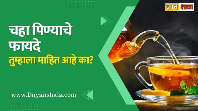 Do you know the benefits of drinking tea in marathi