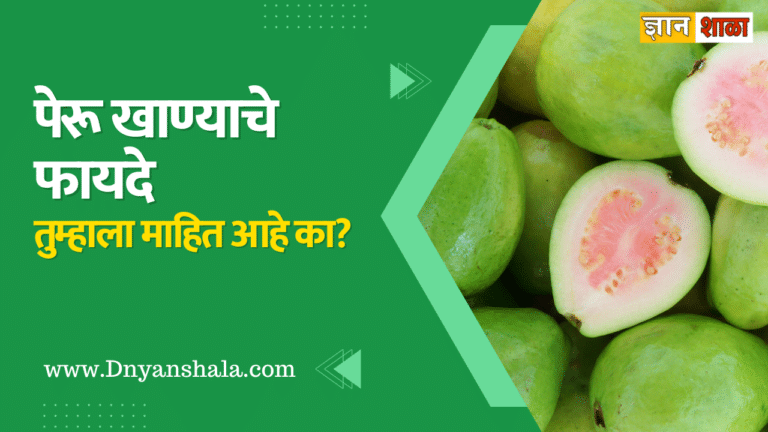 Guava benefits in marathi