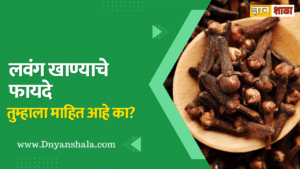 benefits of clove in marathi