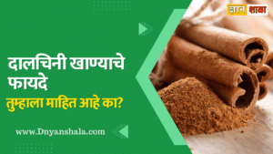 cinnamon benefits in marathi