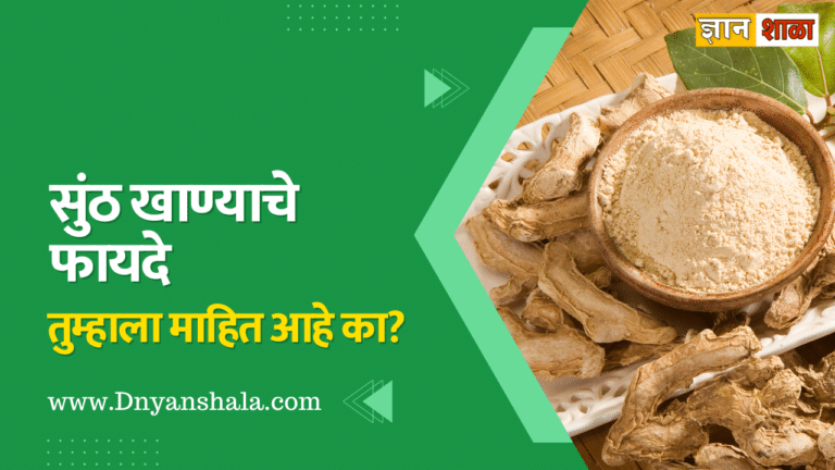 ginger powder benefits in marathi