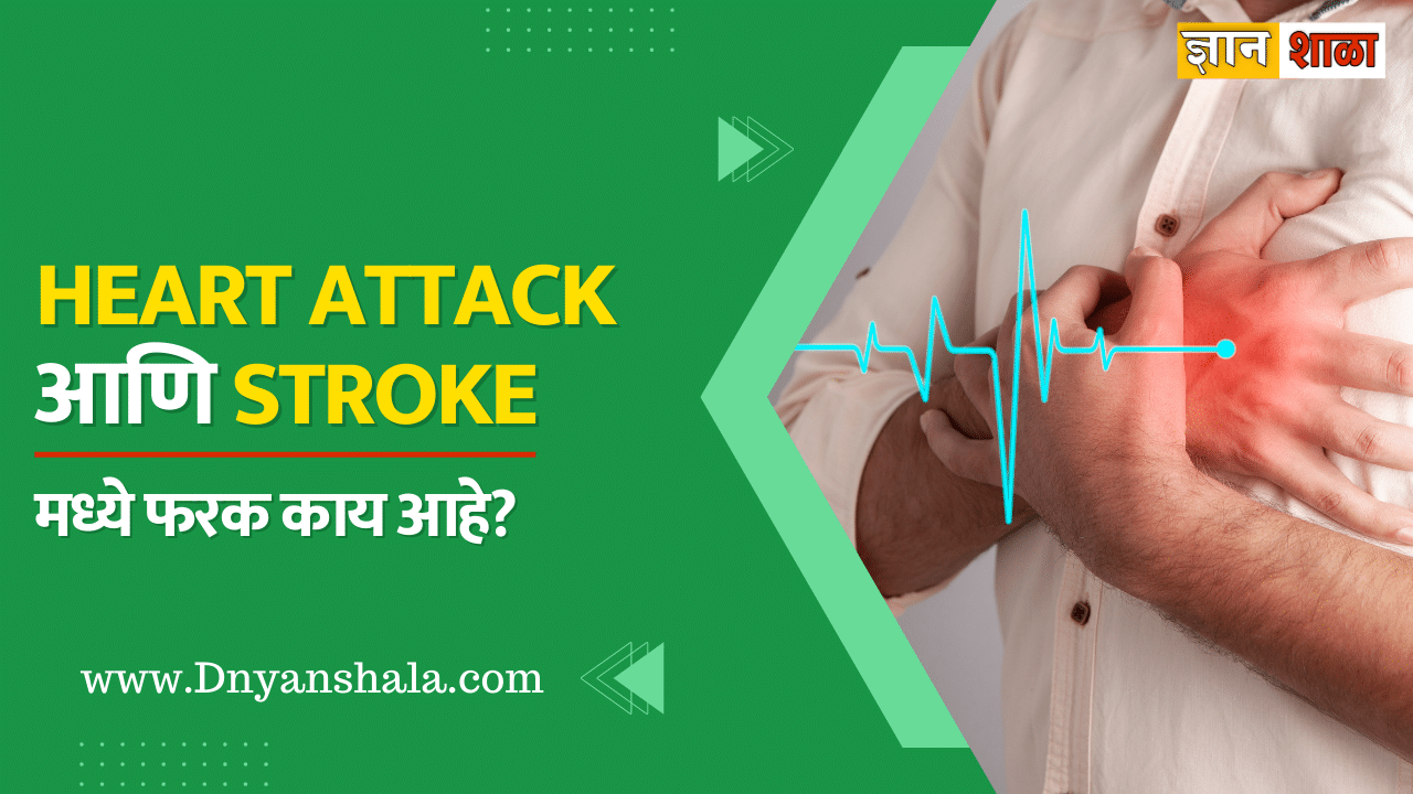 Difference between Heart attack and Stroke in marathi