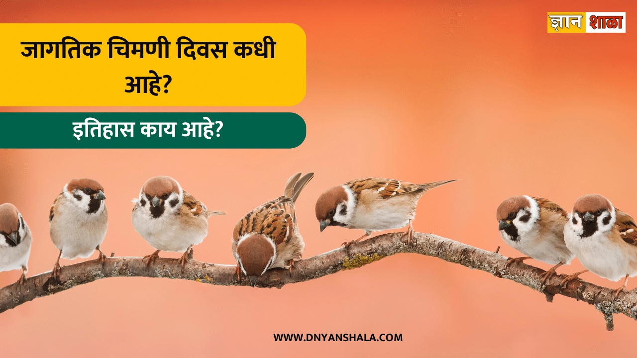 World Sparrow Day History in Marathi