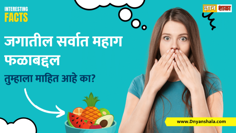 Most expensive fruit of the world information in marathi