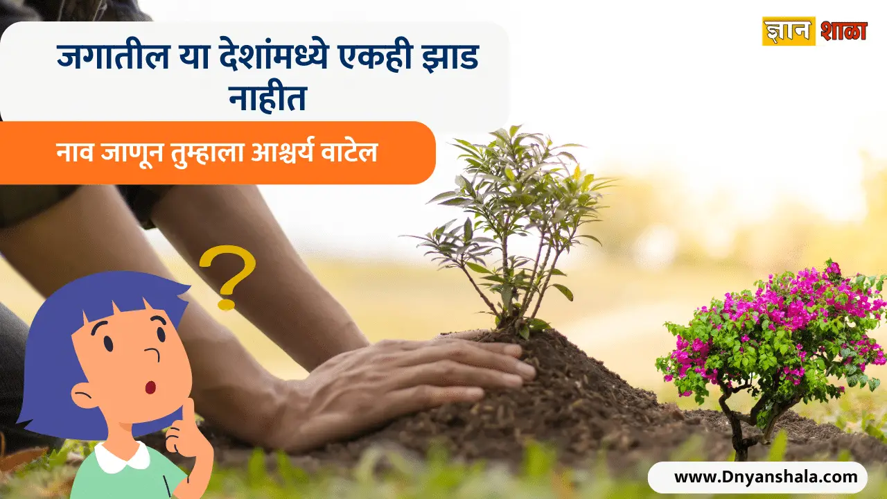 List Of Countries Without Trees Know Interesting Facts In Marathi