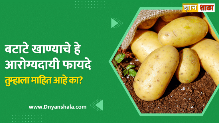Potato health benefits and side effects in marathi