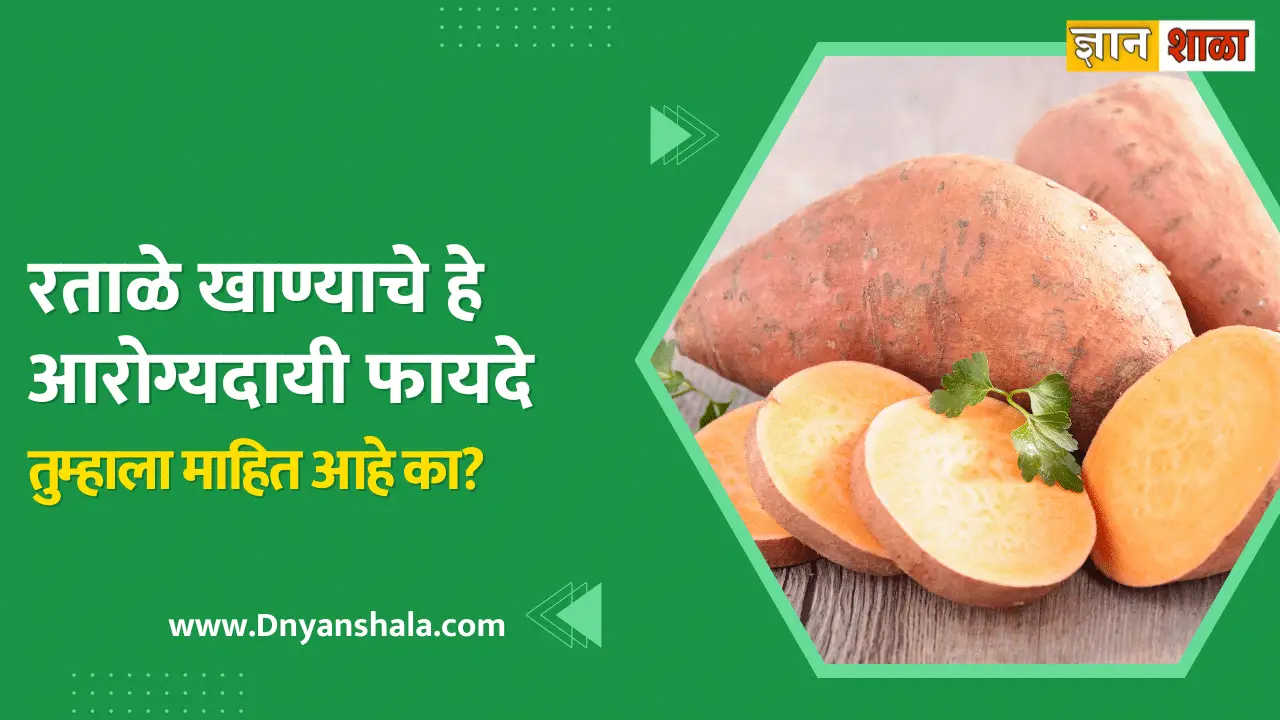 Sweet potato health benefits in marathi