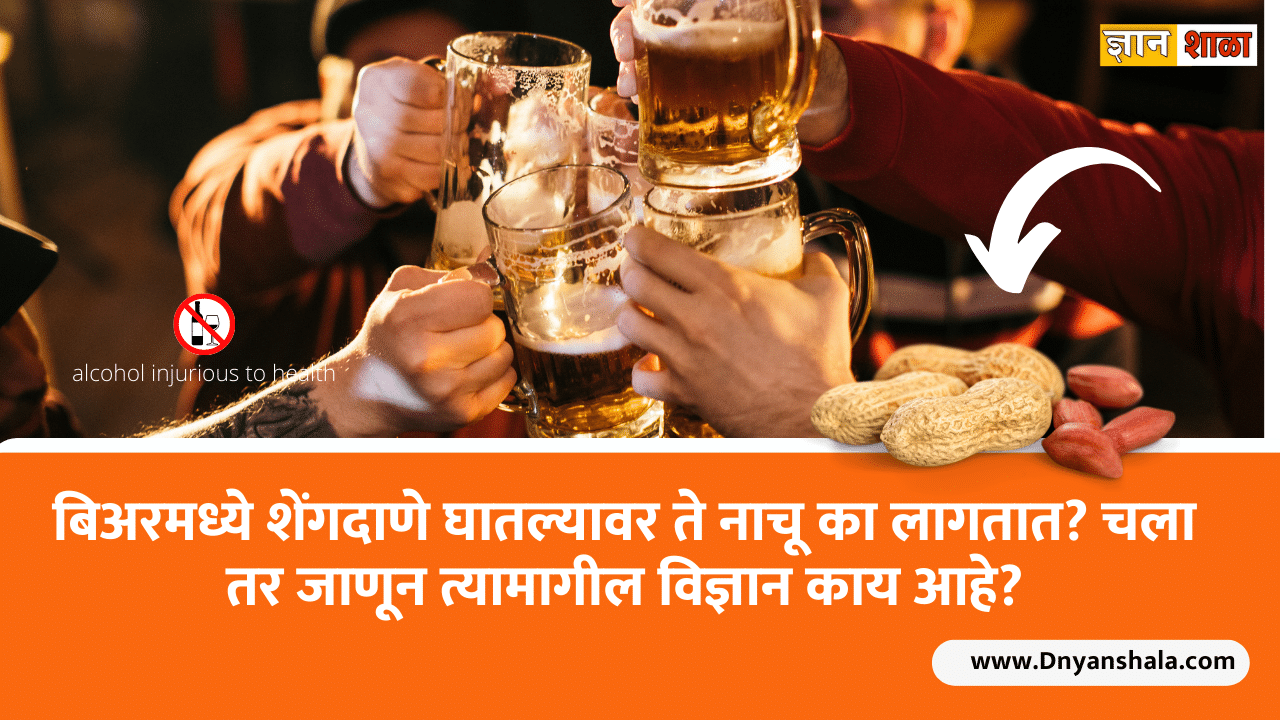 Peanut Starts Dancing In Beer Know The Science Works Behind It Interesting Facts In marathi