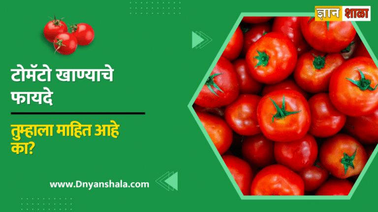 Tomato health benefits in marathi