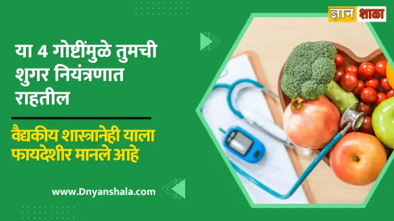 Top 4 Ayurveda Foods To Manage High Blood Sugar In Diabetic Patients In marathi