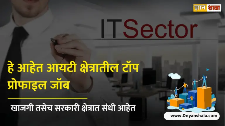 Career in it sector after 12th
