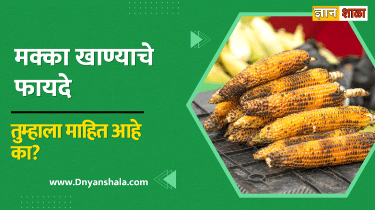 Corn health benefits in marathi