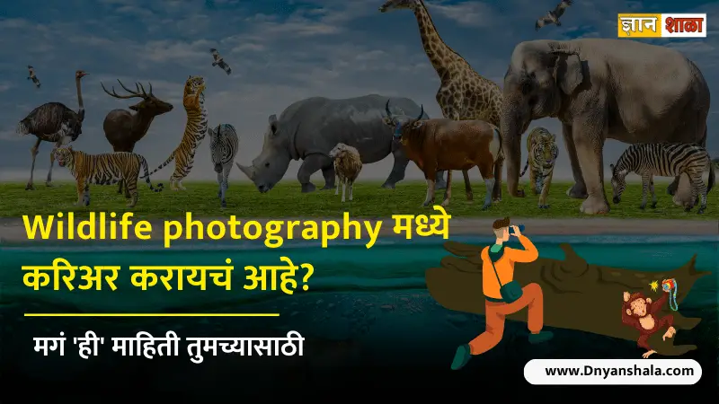 How to become a wildlife photographer after 12th in marathi