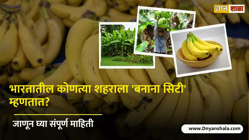 Which city is known as banana city of india
