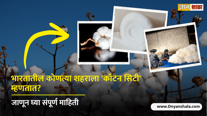 Which city is known as cotton city of india