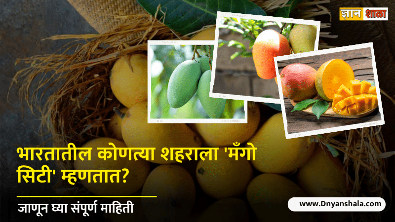 Which city is known as mango city of india
