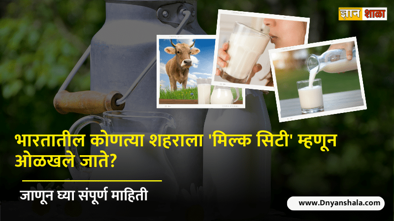 Which city is known as milk city of india