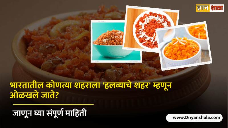 Which city is known as halwa city of india