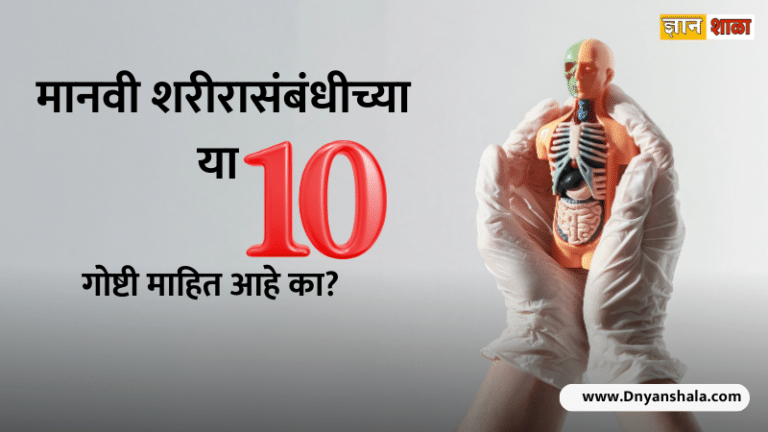 10 interesting facts about the human body?