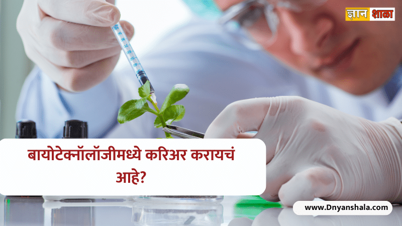 Career in biotechnology after 12th