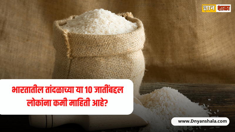 How many varieties of rice in india
